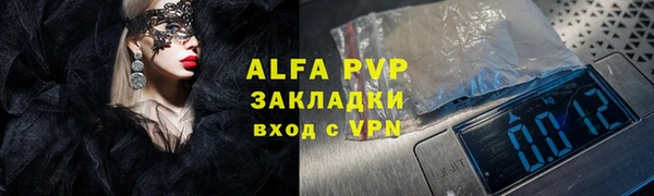 таблы Бородино