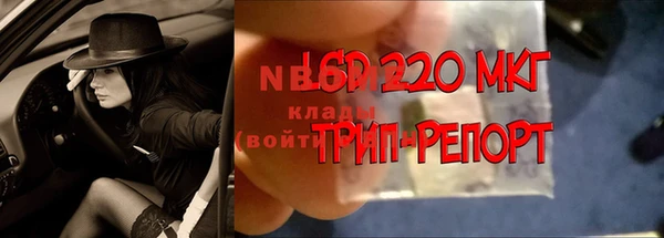 таблы Бородино