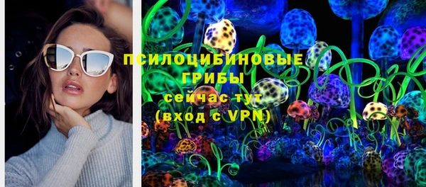 таблы Бородино