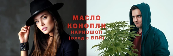 таблы Бородино