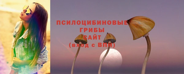 таблы Бородино