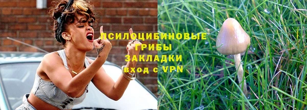 таблы Бородино