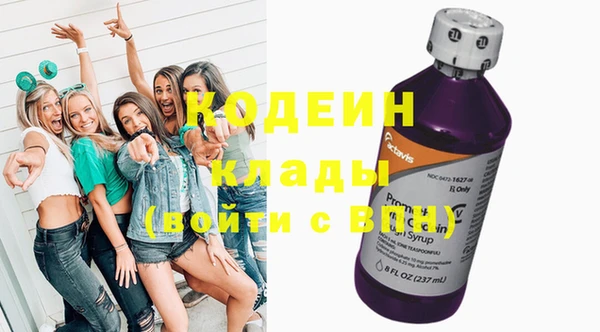 таблы Бородино